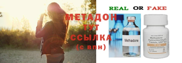 гашик Богданович