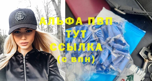 гашик Богданович