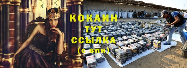гашик Богданович