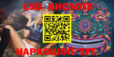 прущие крисы Гатчина