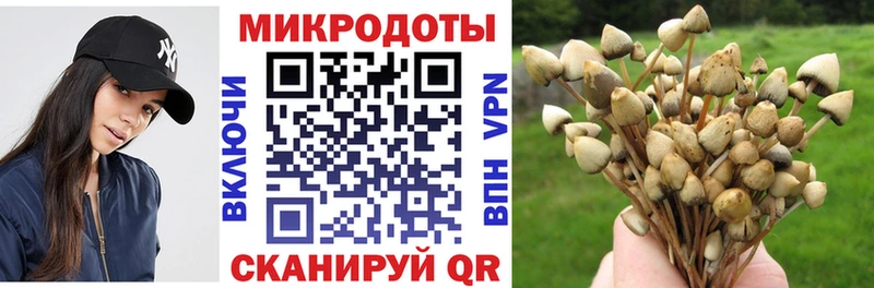нарко площадка формула  Бузулук  Псилоцибиновые грибы Psilocybine cubensis  где найти  