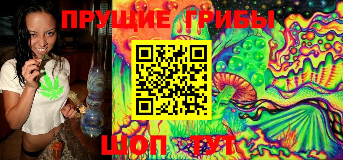 купить   Галлюциногенные грибы GOLDEN TEACHER  Вход с VPN  Бузулук 