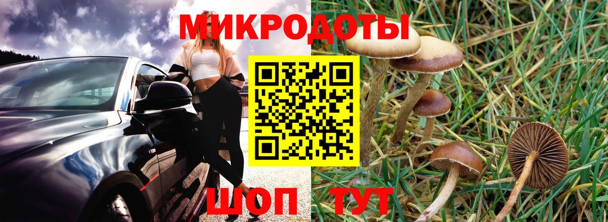 Галлюциногенные грибы GOLDEN TEACHER Бузулук